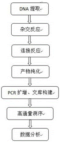 AZF region microdeletion detection kit for Y chromosome