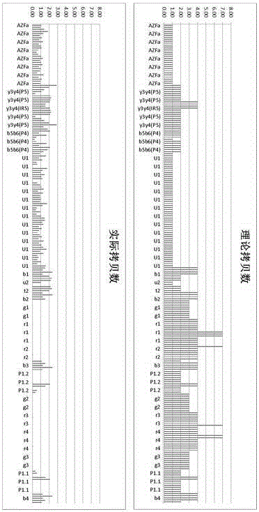 AZF region microdeletion detection kit for Y chromosome