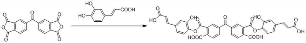 Preparation method of ketone anhydride-polyphenolic acid active oxygen molecule finishing agent