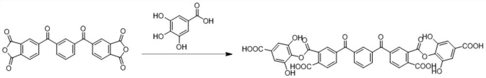 Preparation method of ketone anhydride-polyphenolic acid active oxygen molecule finishing agent