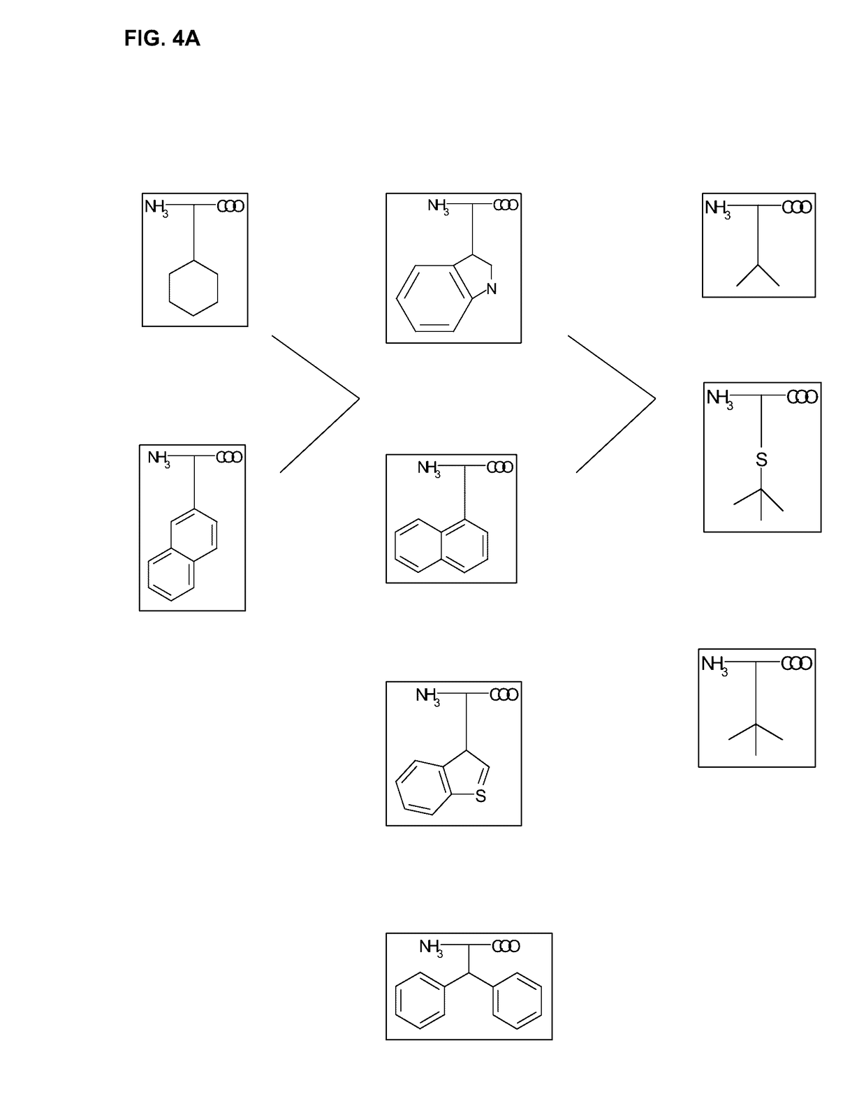 Peptides and peptidomimetics in combination with t cell activating and/or checkpoint inhibiting agents for cancer treatment