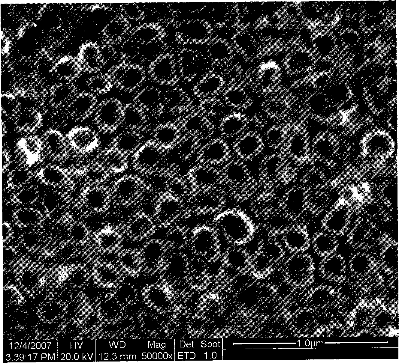 Method for preparing electrochemical anodic oxidation of large pipe diameter TiO2 nanometer tube