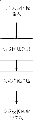 Automatic hair drawing method for human face cartoonlization