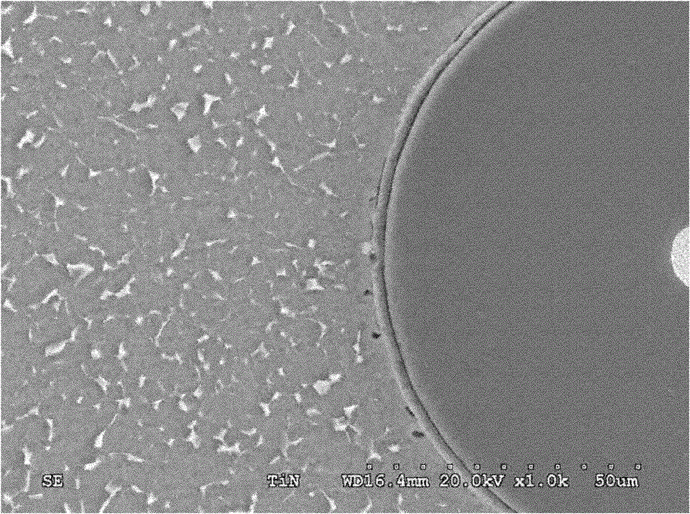 TiN coating silicon carbide fiber reinforced titanium-based composite material and preparation method thereof