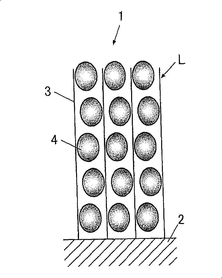 Enzyme electrode and enzyme sensor