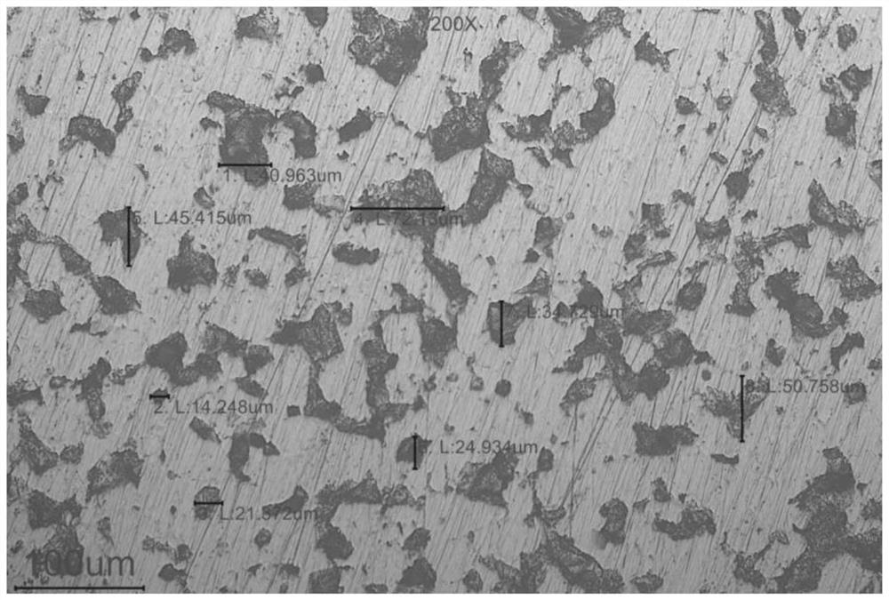 Low-density metal and low-density metal manufacturing method