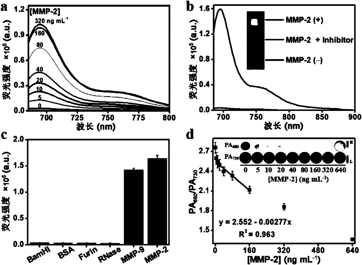 Matrix metalloproteinase-2 specific multi-modality molecular image probe and preparation method and application in preparation of tumor imaging agent thereof