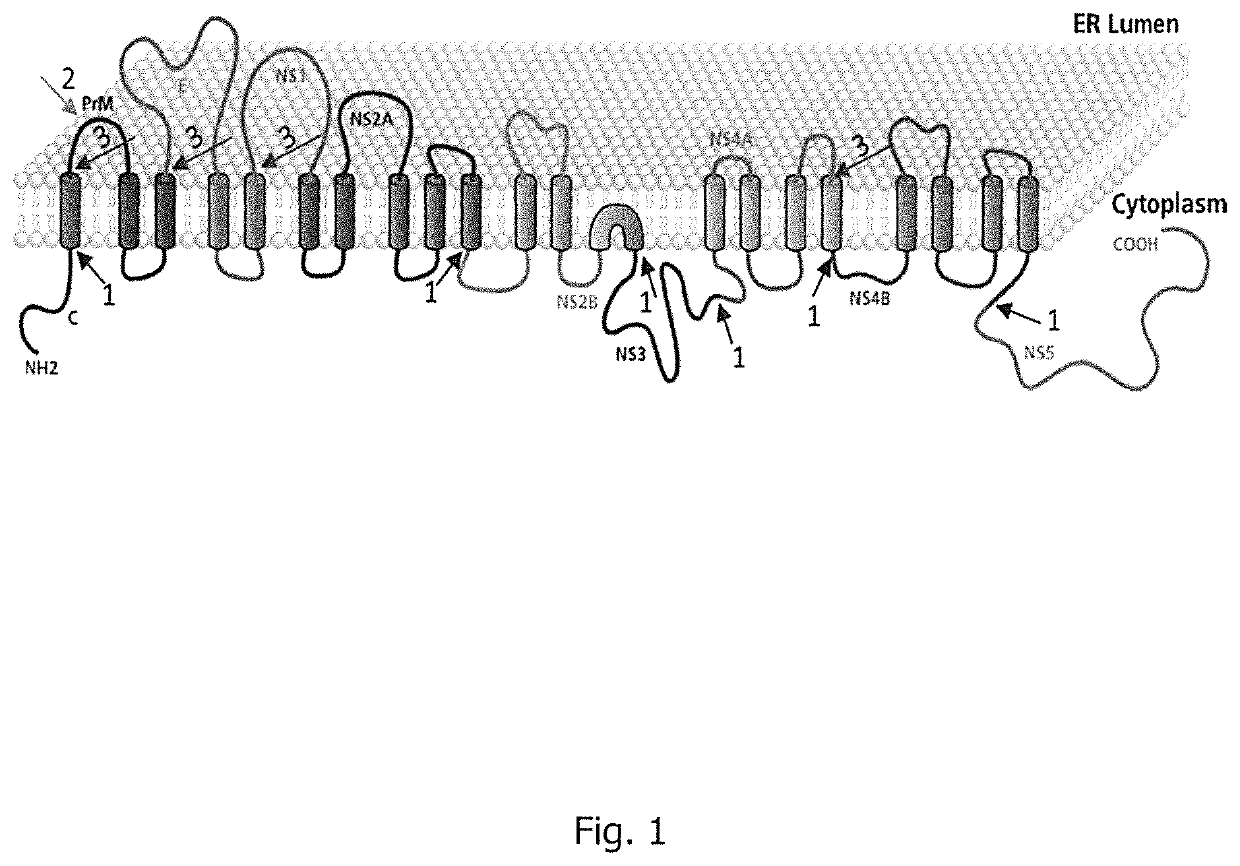 Flavivirus vaccine