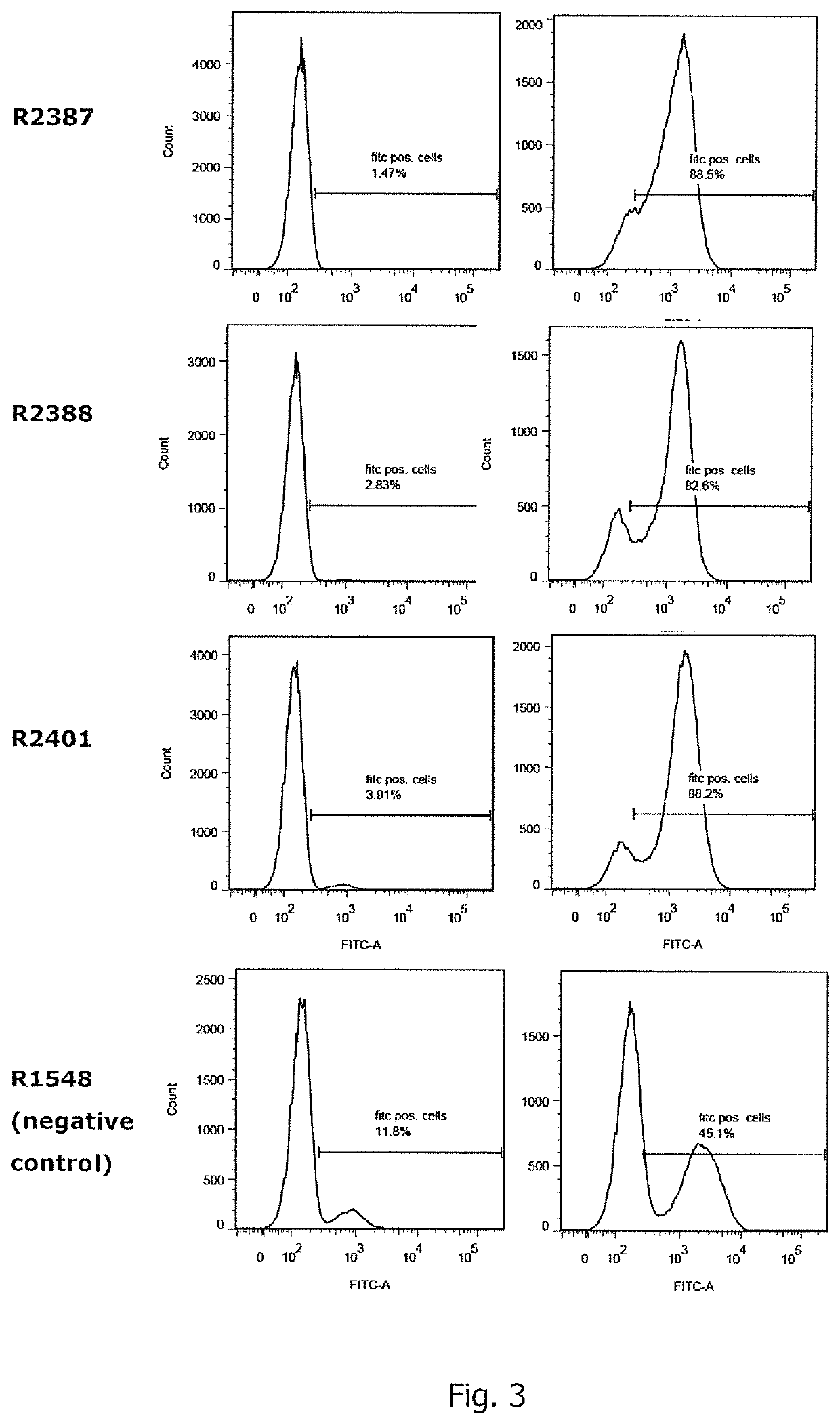 Flavivirus vaccine