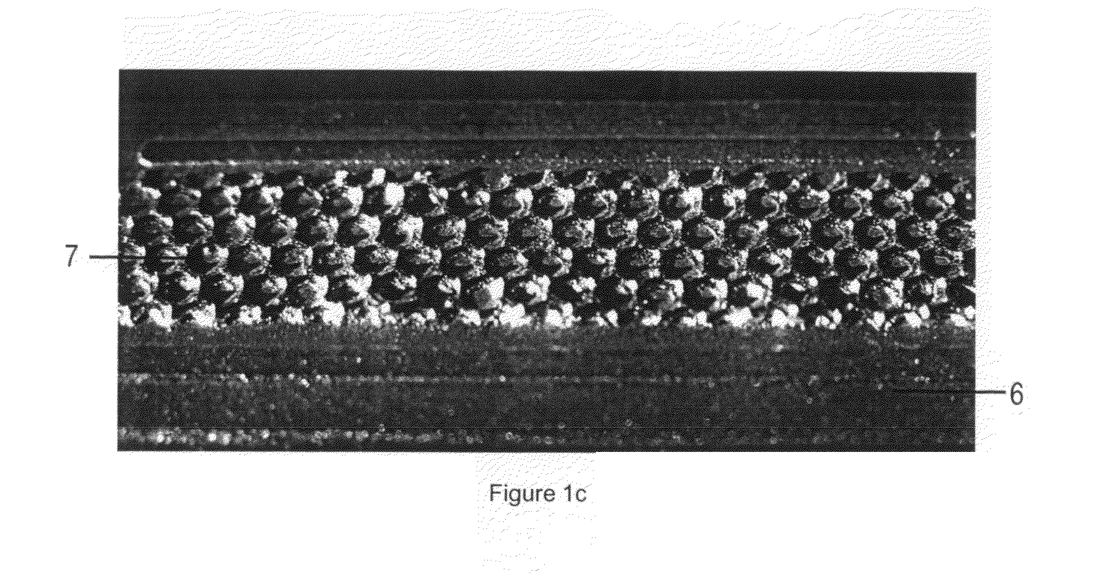 Advanced burr, applique for a burr and method of fabricating