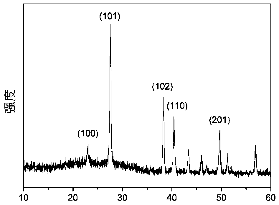 Preparation method of cantharidin-loaded tumor cell membrane-encapsulated tellurium elementary substance nanoparticles