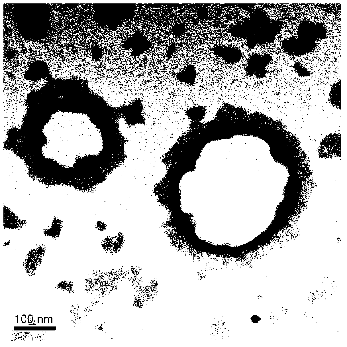 Double-sensitive disintegrating nano-sized vesica medicine carrier preparation and preparation method thereof