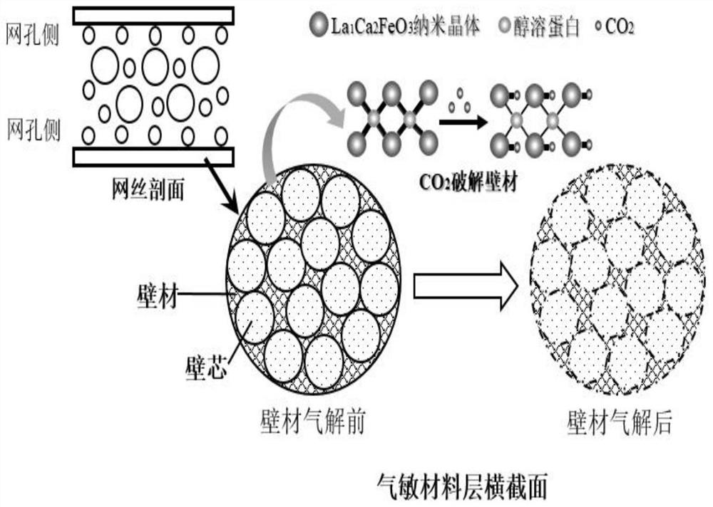 Anti-mildew, dust-proof and fresh-keeping special net bag for candied apples and preparation method thereof