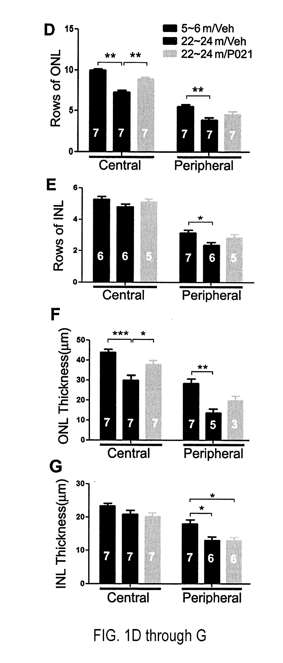 Treatment of age-related macular degeneration with neurotrophic peptidergic compound