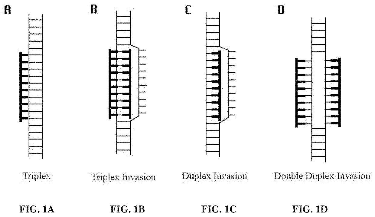 Methods and compositions for genomic target enrichment and selective DNA sequencing