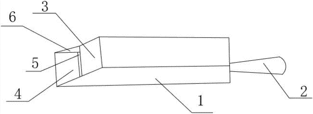 Crude salt frying device