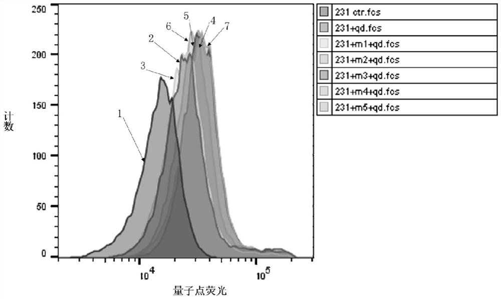 A kind of polypeptide targeting triple-negative breast cancer cells and its application