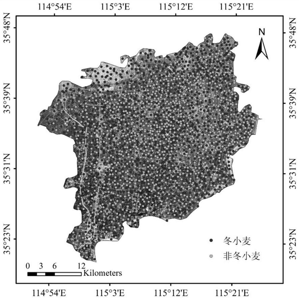 Method for extracting winter wheat planting area based on spectrum reconstruction technology