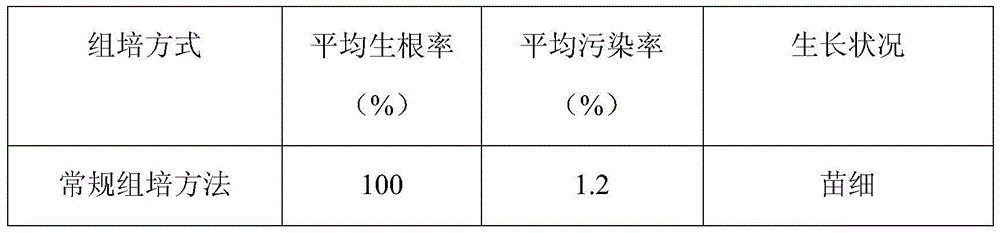 A kind of rhododendron chemical disinfection tissue culture method