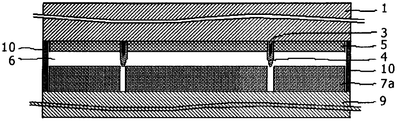 Photoelectric conversion device and photoelectric conversion device module