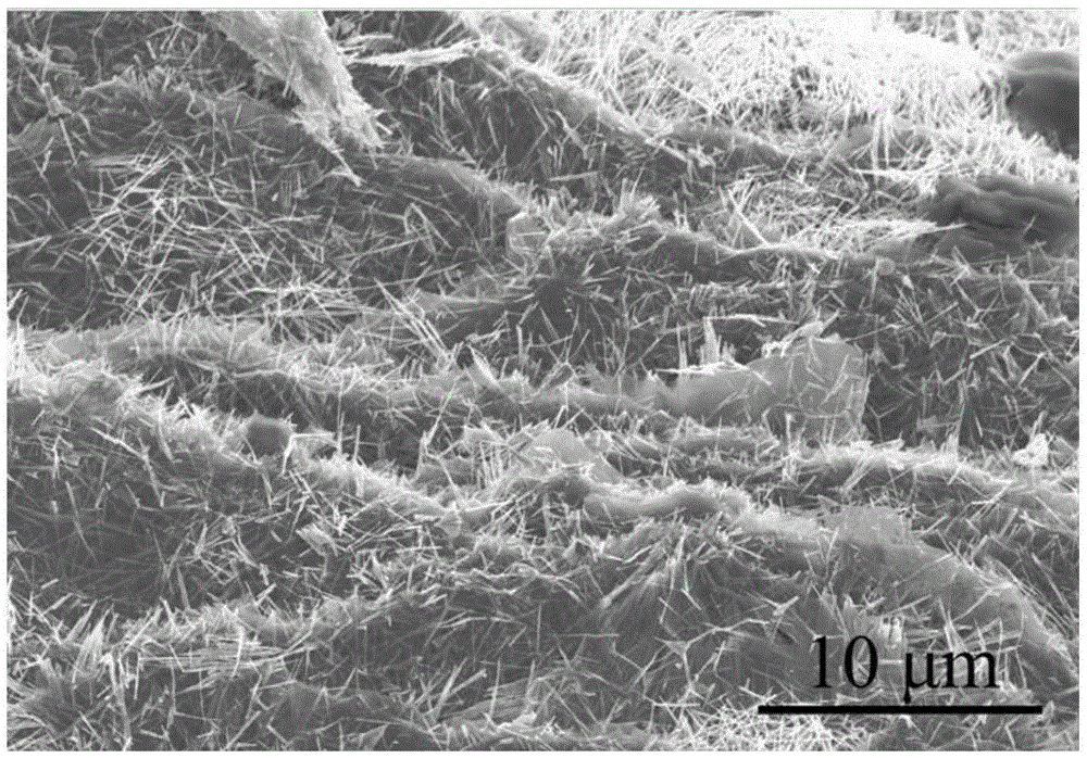 Zinc oxide nanowire-graphene gas sensor and preparation method thereof