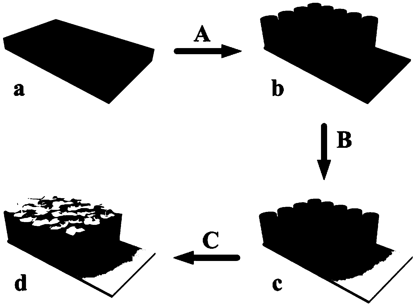 Nitrogen doped titanium dioxide nanotube array enzyme electrode and preparation method and application thereof