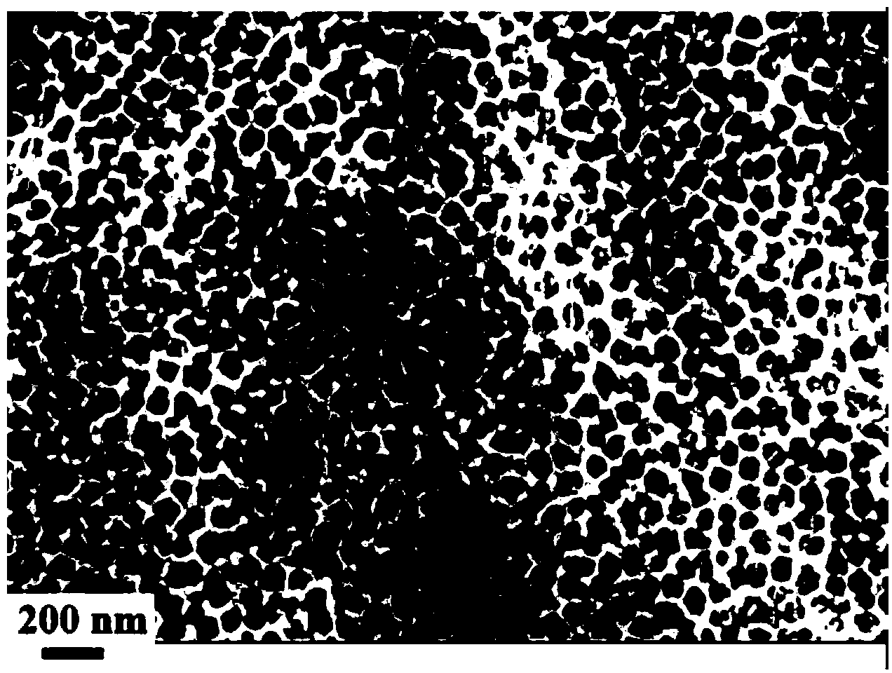 Nitrogen doped titanium dioxide nanotube array enzyme electrode and preparation method and application thereof