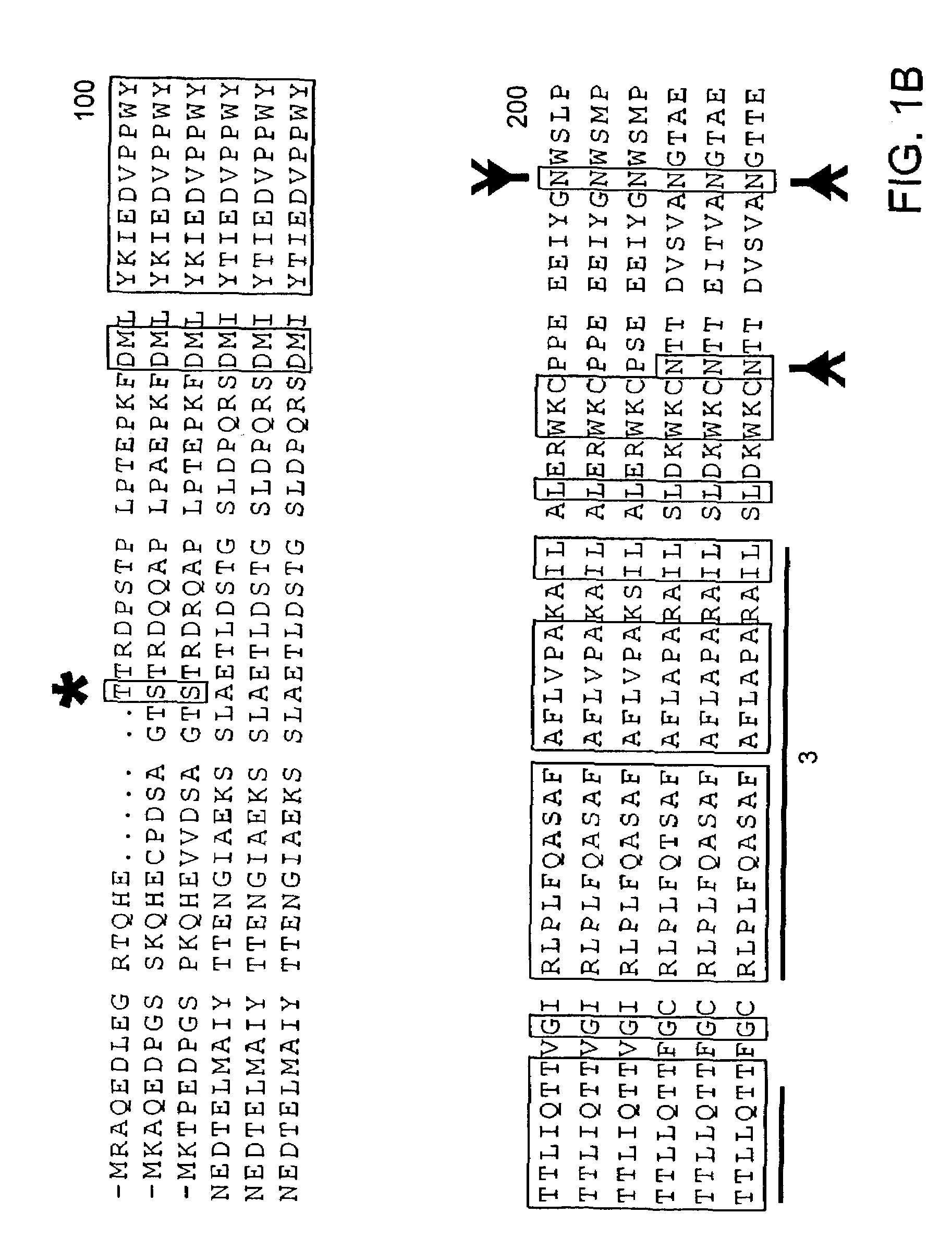 Methods for transporting vitamin C