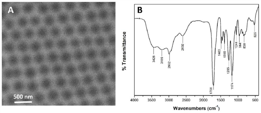 Hydrogel nanocarrier delivery system for targeting activated CD44 molecules, its preparation method and use