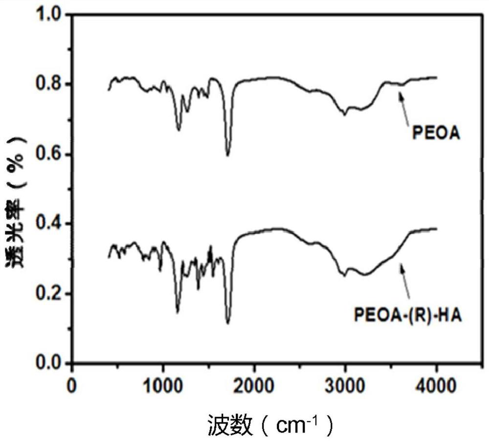 Hydrogel nanocarrier delivery system for targeting activated CD44 molecules, its preparation method and use