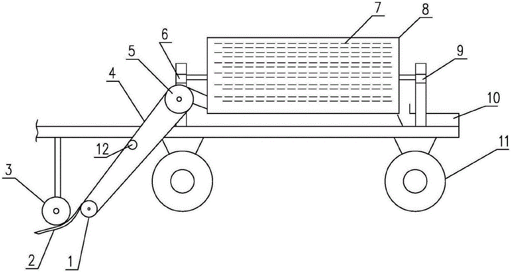 Excavating and screening device for rhizoma corydalis