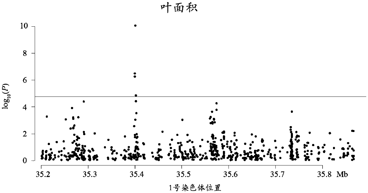 Method for detecting additive and dominant genetic effects of DNA methylation sites on quantitative traits and application technology thereof