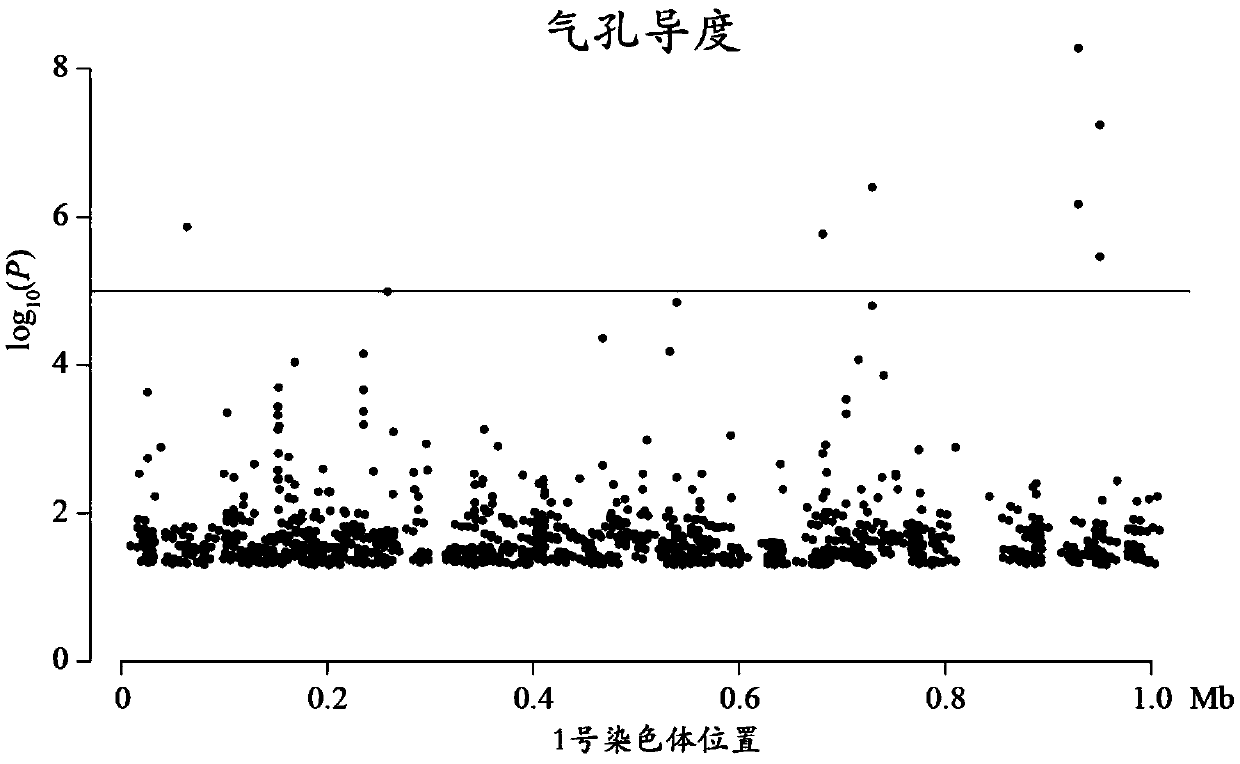 Method for detecting additive and dominant genetic effects of DNA methylation sites on quantitative traits and application technology thereof