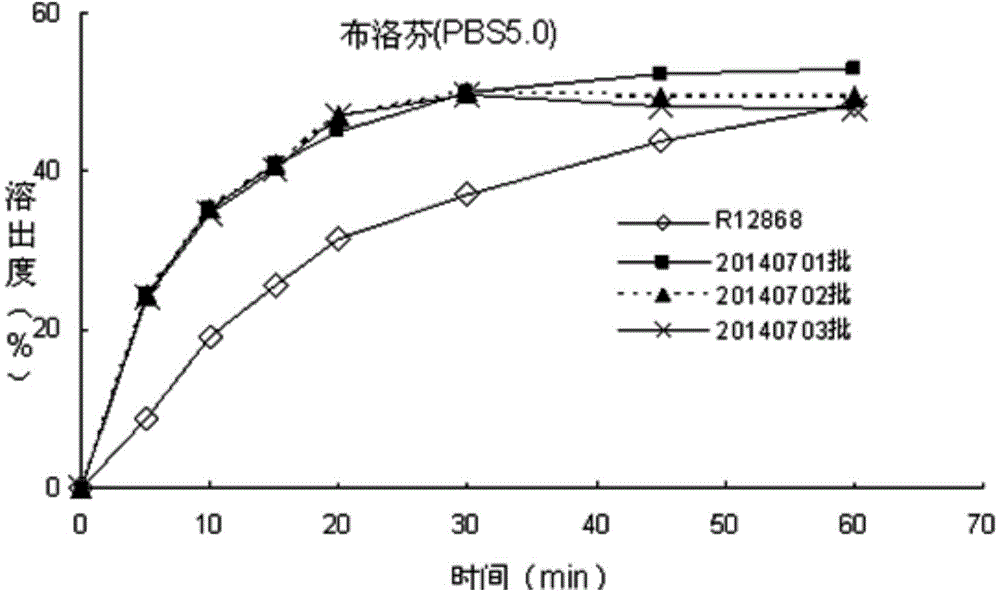 Allergy and congestion relief and preparation method thereof