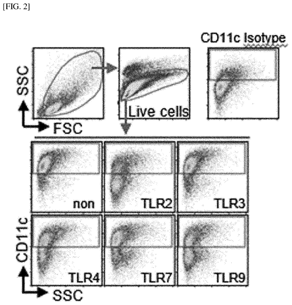 Method for producing myeloid-derived suppressor cells, myeloid-derived suppressor cells produced thereby, and methods thereof