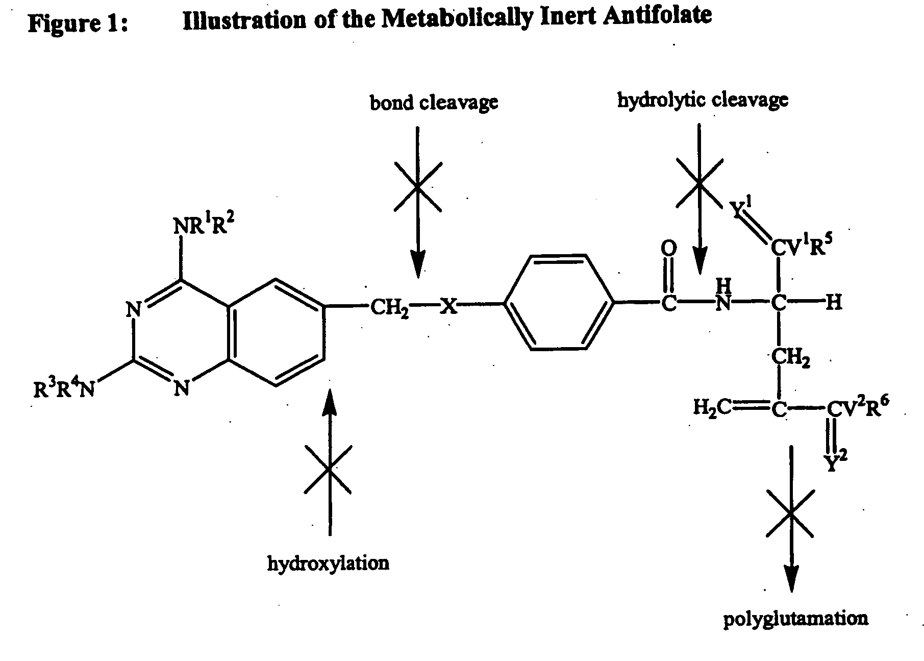 Metabolically inert antifolates for treating disorders of abnormal cellular proliferation and inflammation