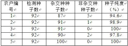 A primer for identifying the seed purity of non-heading Chinese cabbage Sujun 316 and its application