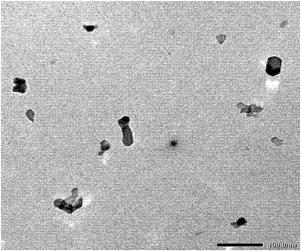 Preparation method for nanometer magnesium oxide ozone catalyst and advanced treatment method for catalytically oxidizing wastewater of coal chemical industry by using catalyst