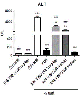 Application of schisandrol B in preparation of medicine for preventing and treating cholestatic liver disease