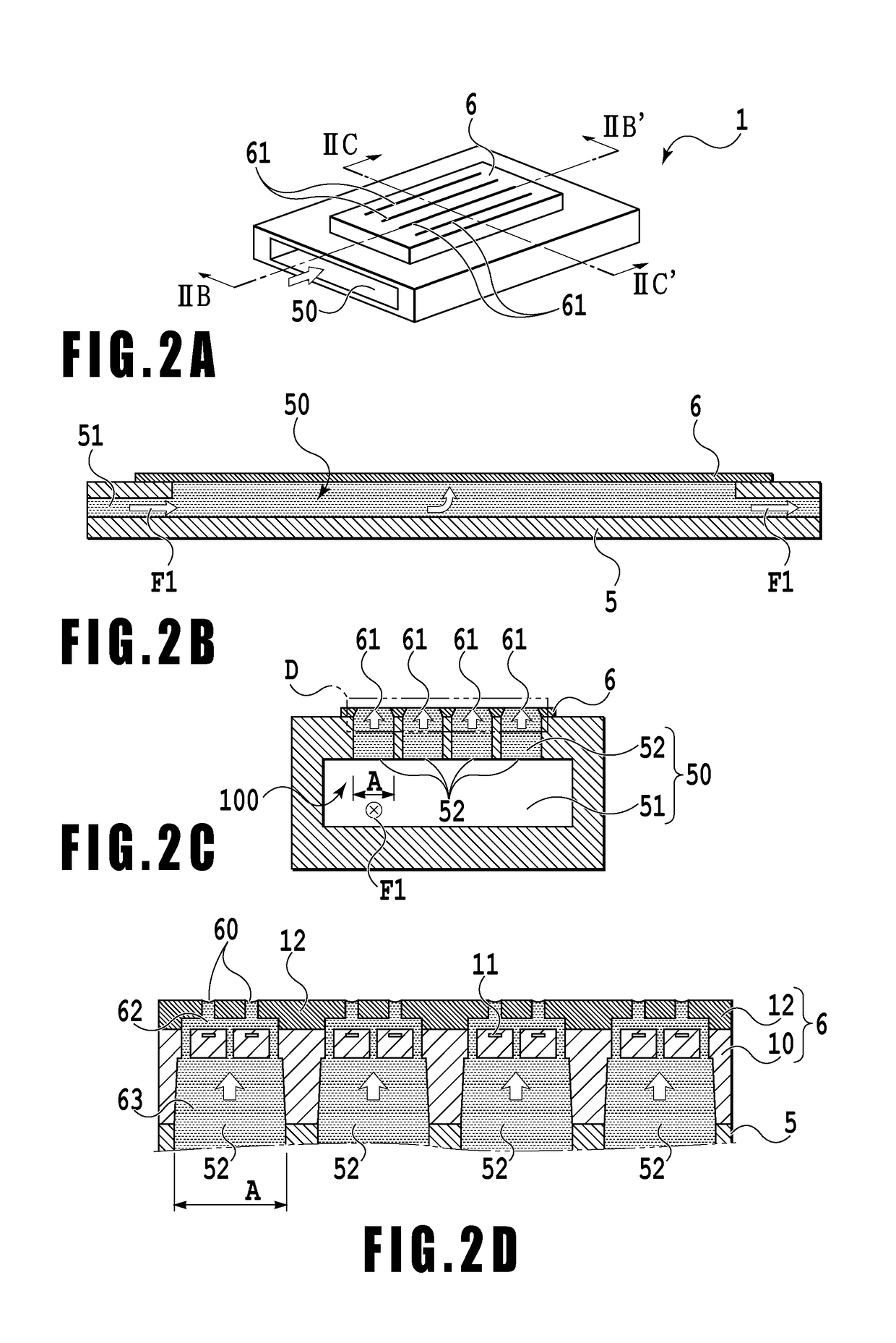 Liquid ejection apparatus and liquid ejection head