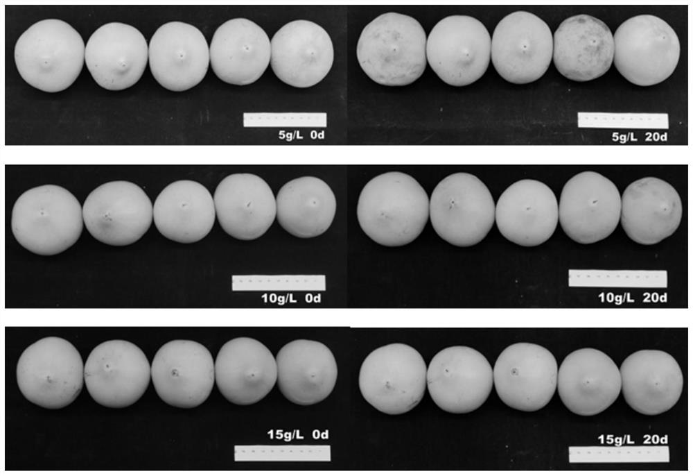 Lucuma nervosa fruit fresh-keeping agent and fresh-keeping method thereof