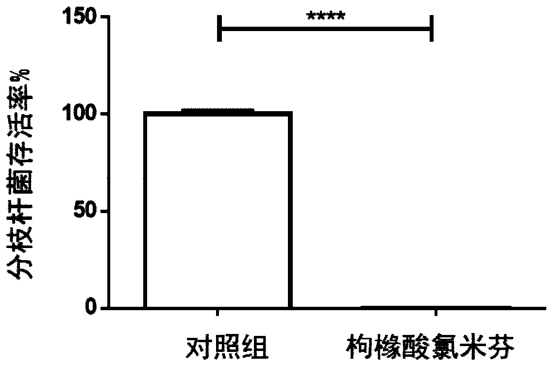 Application of clomifene citrate to anti-mycobacterium tuberculosis medicines