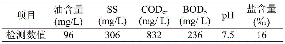 Treatment method and treatment apparatus for oil filed produced water