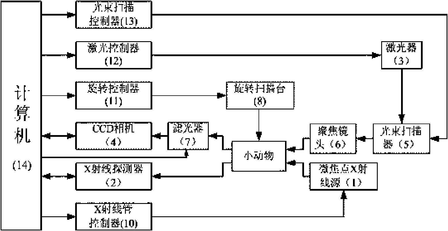 Living small animal imaging system and imaging method