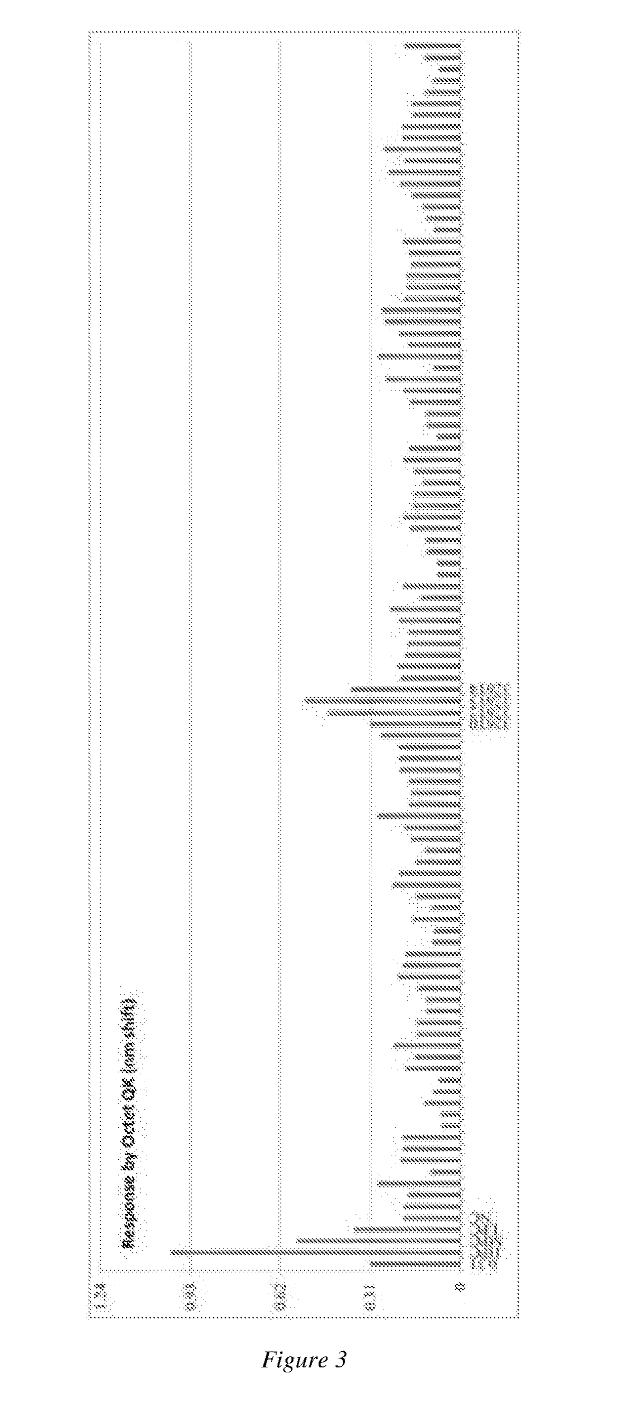 A novel Anti-egfr monoclonal antibody, method of making, and use thereof