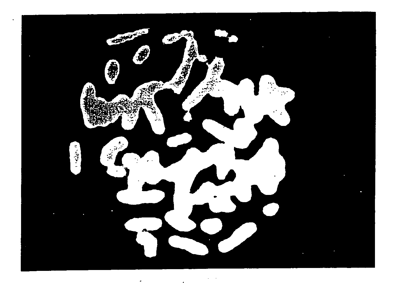 Methods and compositions for chromosome-specific staining