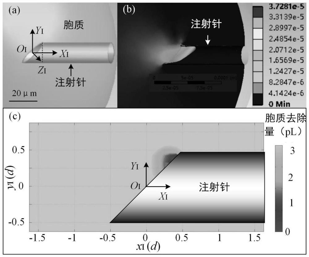 A Quantitative Enucleation Method Based on Cell Orientation