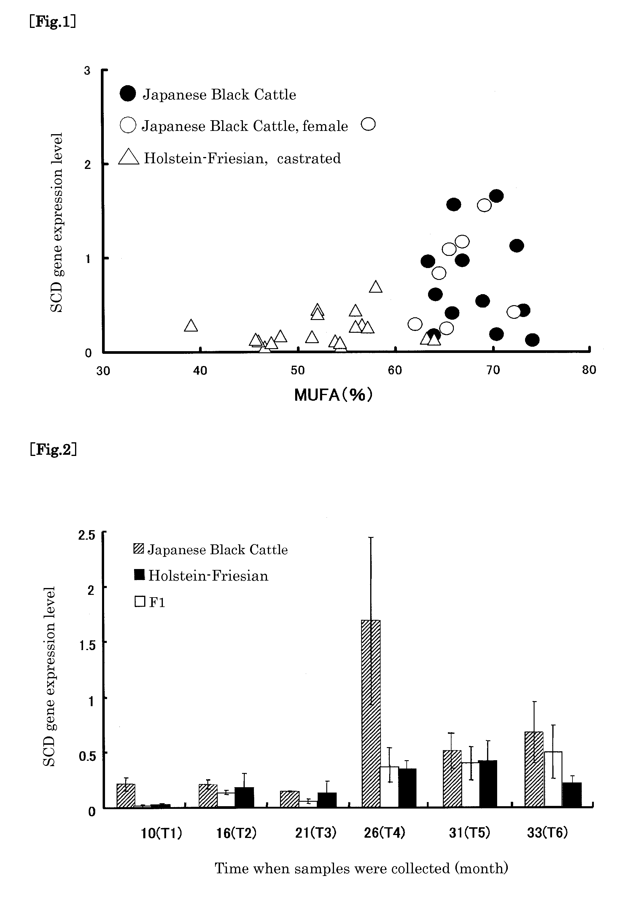 Method of Determining Gene Relating to Favorable Beef Taste and Texture