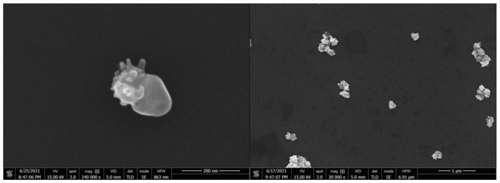 Method for preparing jellyfish-shaped gold-copper heterostructure material based on seed growth method