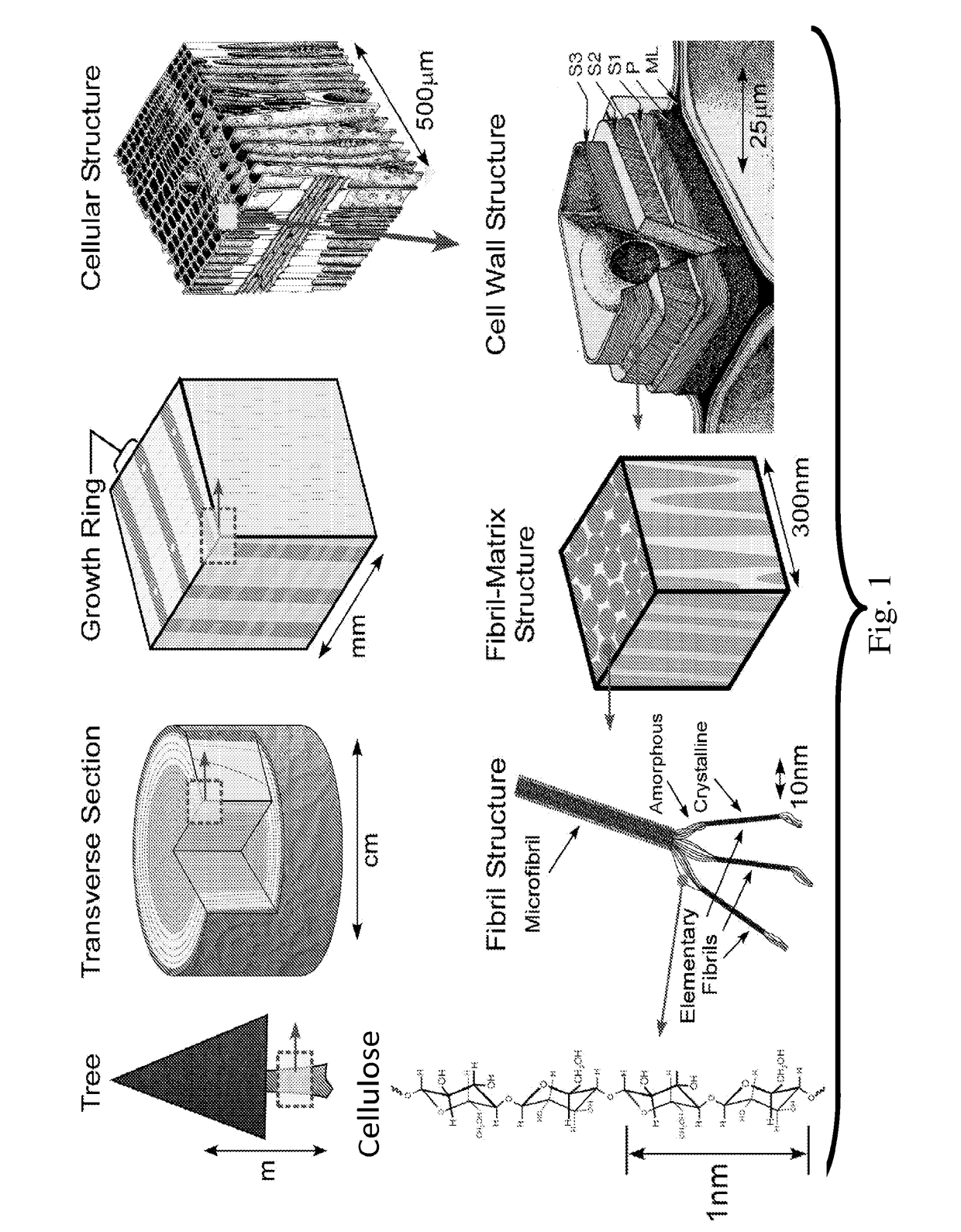 High efficiency production of nanofibrillated cellulose